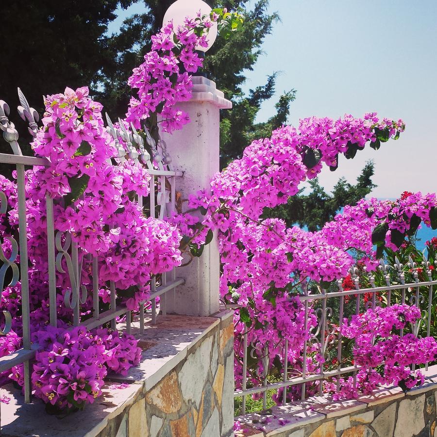 Perivolos Apartments Dhermi Luaran gambar